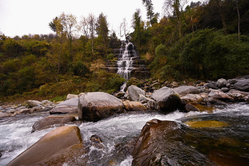 Zostel Dobhi, Manali, Nagar, Inde