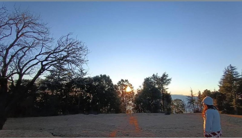The Hideaway Chail, Chail, India