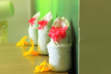 TatSaraasa Resort & Spa, Udaipur, Udaipur, India