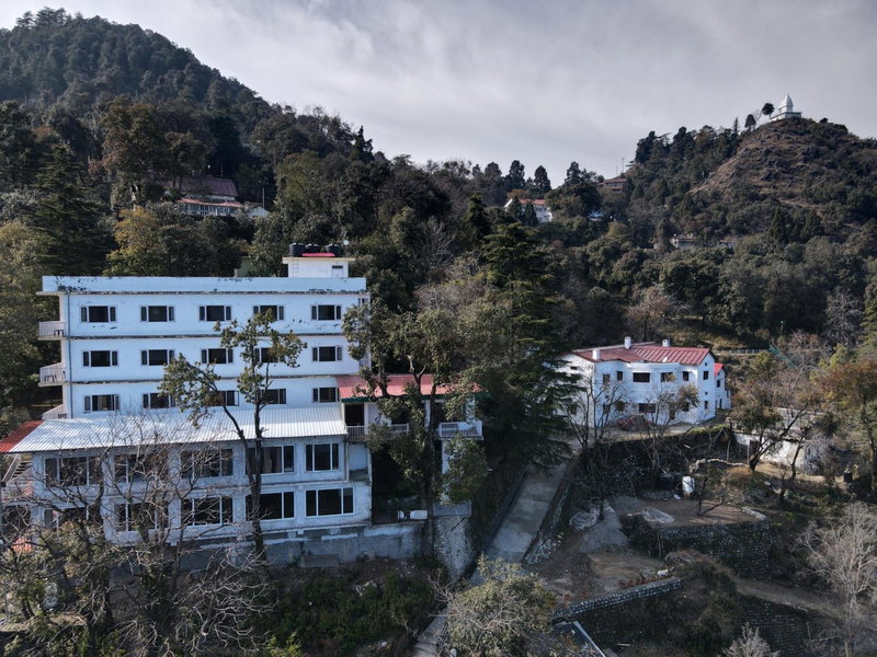 The Mountain Quail, Mussoorie, India