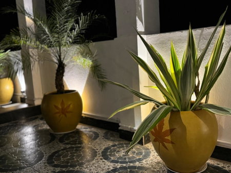 La Antilia Luxury - TIE Hotels & Resorts, Puducherry, India