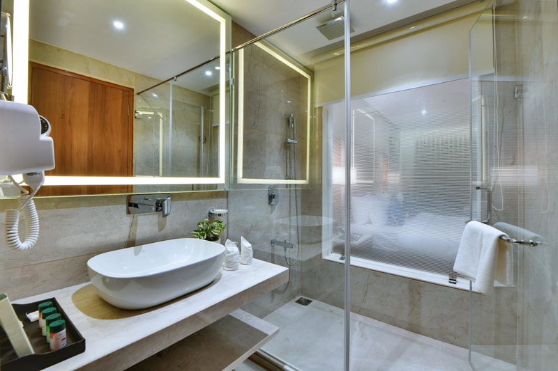 The Fern Residency Ajmer, Ajmer, India