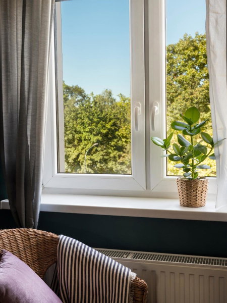 Green view apartment / Kochanowskiego, Kraków, Poland