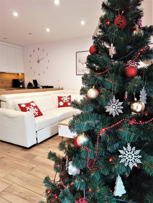 Apartament przy Kopalni Srebra, Tarnowskie Góry, Poland
