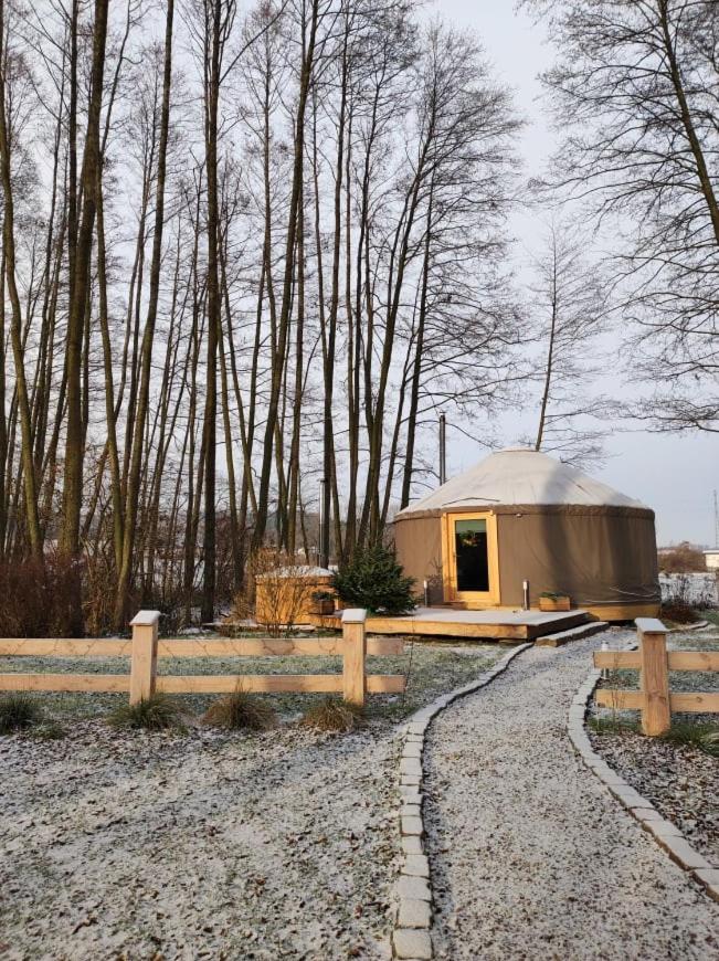 Forglamp, Poland