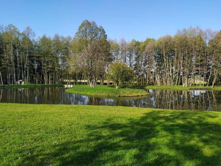 Forglamp, Bydgoszcz, Poland