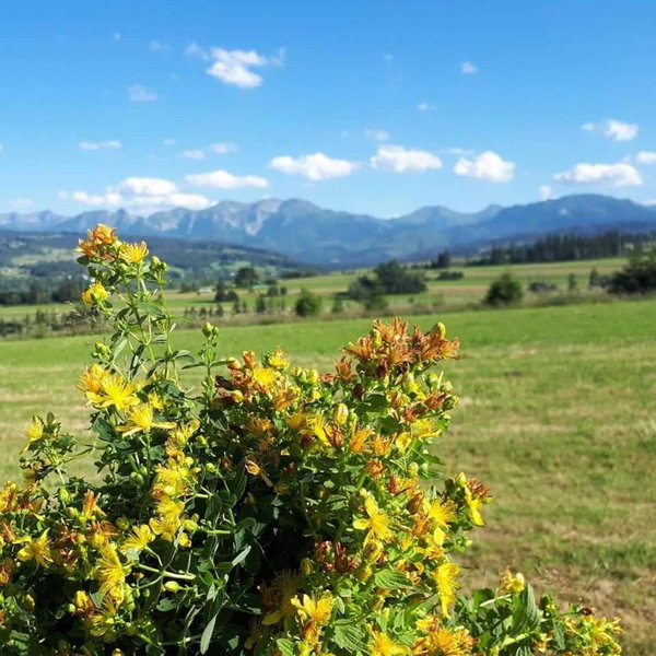 Magurskie Bywanie, Witów, Poland