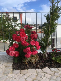 adubai Obidos, Óbidos, Portugal