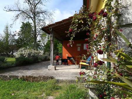 Casa Das Palmeiras-Pedagogic Farm, Mangualde, Португалия