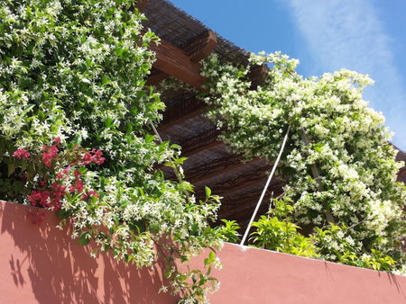 Gato Preto de Silves - Adults Only, Portimao, Portugal