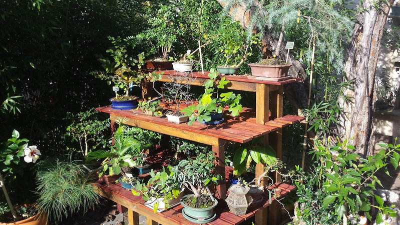 Casa Coimbra Guesthouse & Garden, Coimbra, Portugal