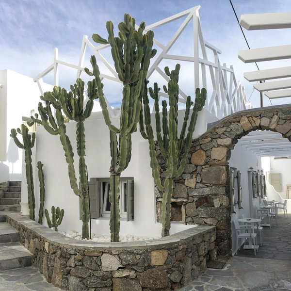 Damianos Mykonos Hotel, Mýkonos City, Greece