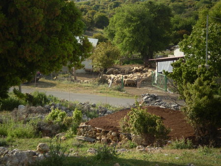 Arachovitika Kalivia, Sparta, Greece