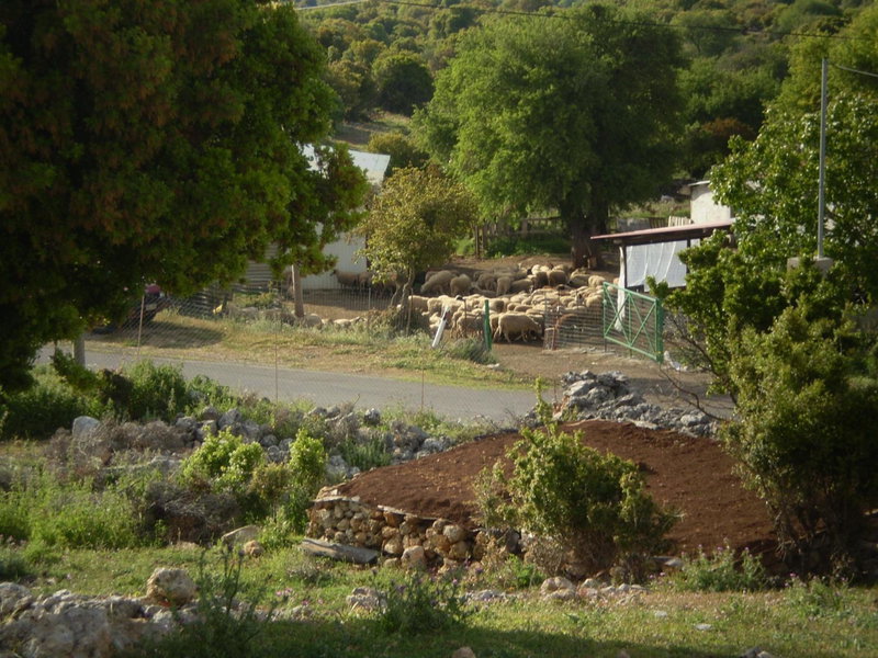 Arachovitika Kalivia, Sparta, Greece