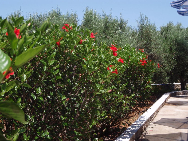 Villas Michalis, Chorafakia, Greece