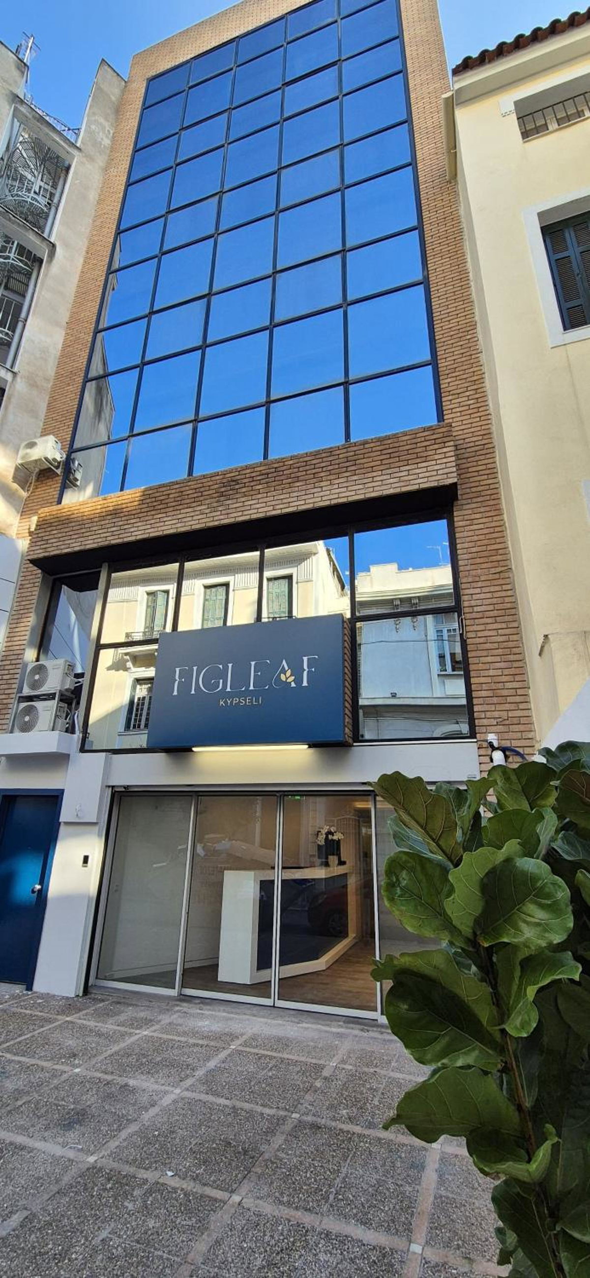 Figleaf Kypseli, Greece