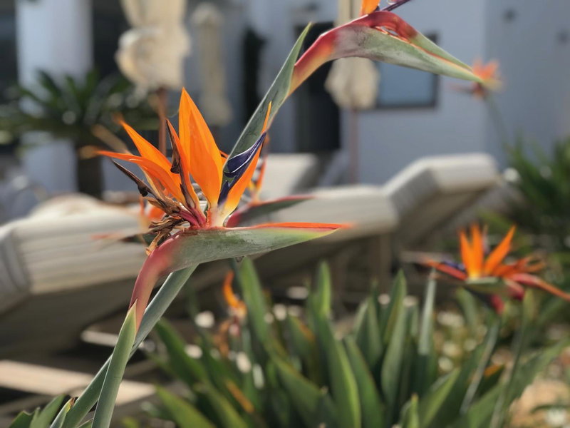 Creta Blue Boutique Hotel, Hersonissos, Greece