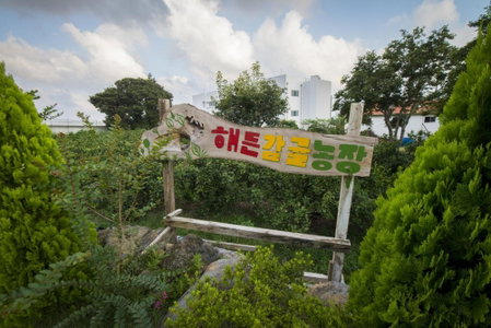Haedenville Pension, Seogwipo, Южная Корея