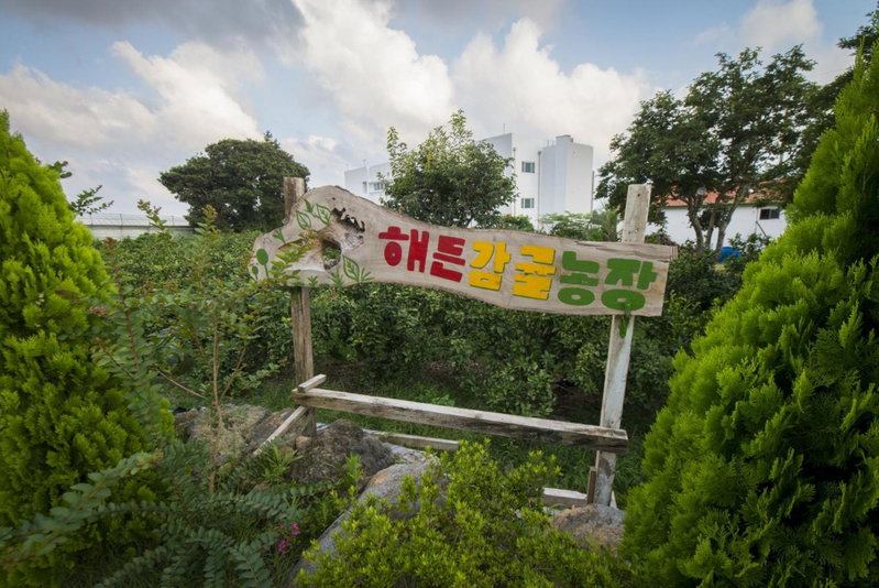 Haedenville Pension, Seogwipo, Южная Корея