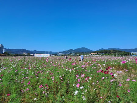 Iryang Stay, Goseong, Corée du Sud