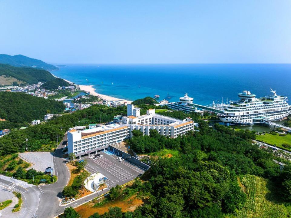 Hotel · Hotel Withus Jeongdongjin, Gangneung