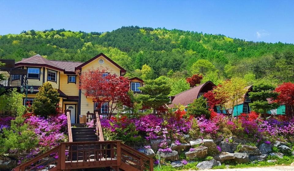 CHAEUL Pension, 대한민국