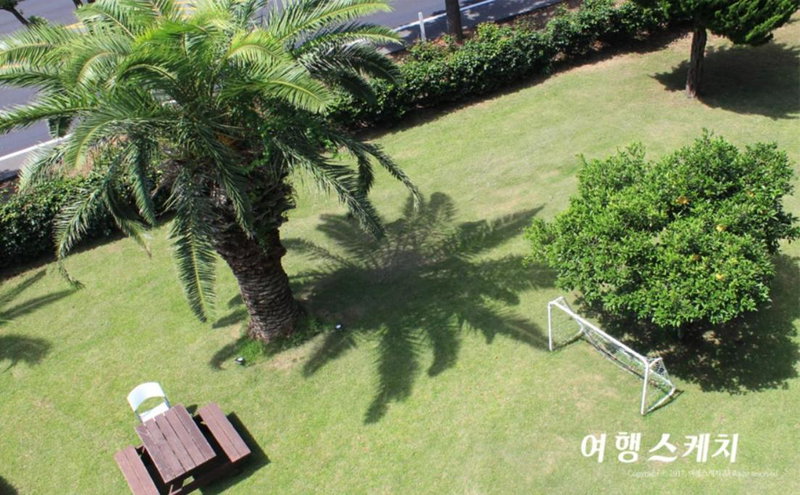 Toursketch Pension, Seogwipo, Corea del Sur