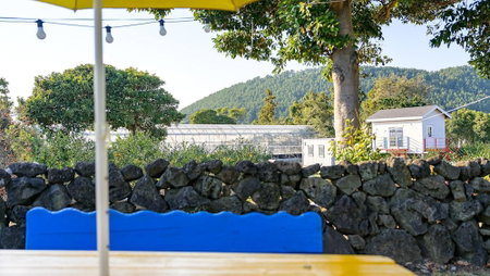 Jeju Motungedoljib Dogchaepension, Jeju City, Corea del Sur