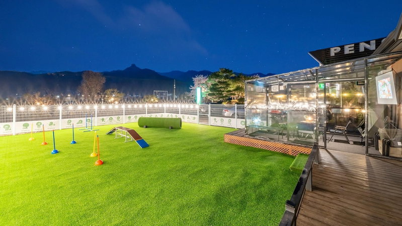 Gapyeong Dangdangi Pet Pension Green, Gapyeong, South Korea