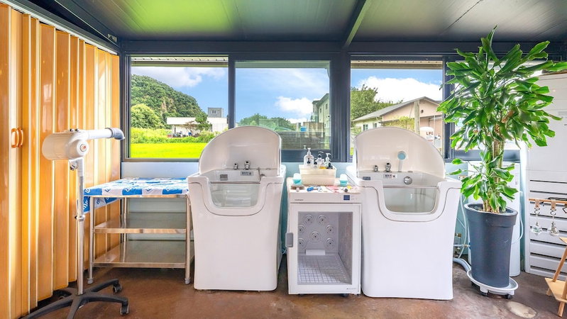 Gapyeong Dangdangi Pet Pension Green, Gapyeong, South Korea