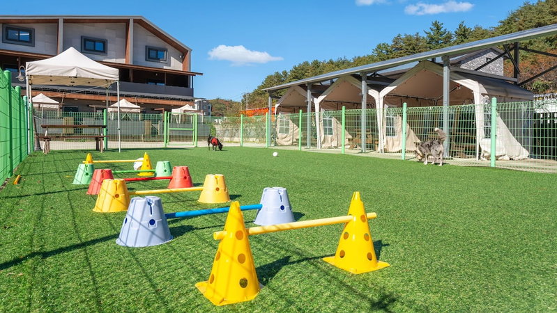 Gangneung Nineone Pet Pension, Gangneung, Южная Корея