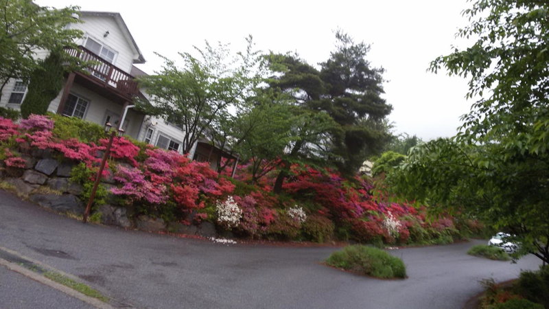 Daecheon Ocean Hill Pension, Boryeong, 대한민국