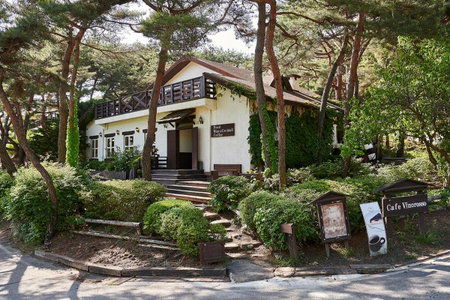 Club ES Jecheon Resort, Jecheon, Corea del Sur