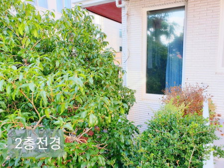 Picasso Guesthouse, Mokpo, Corée du Sud