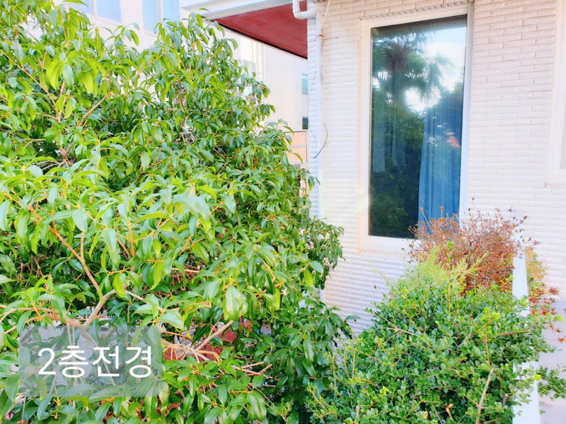 Picasso Guesthouse, Mokpo, Corée du Sud
