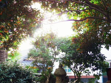 Picasso Guesthouse, Mokpo, Corée du Sud