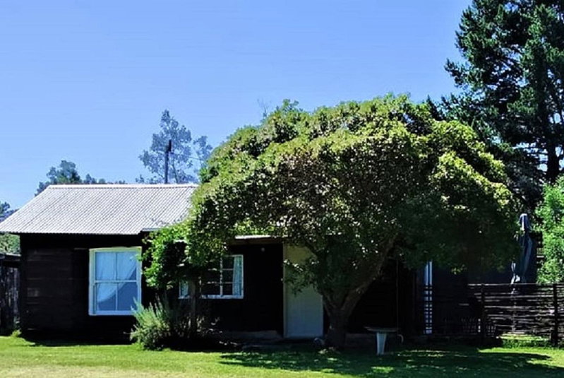 Green Hills Forest Lodge, The Crags, South Africa