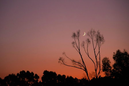 Equleni Guest Farm, Sedgefield, Afrique du Sud