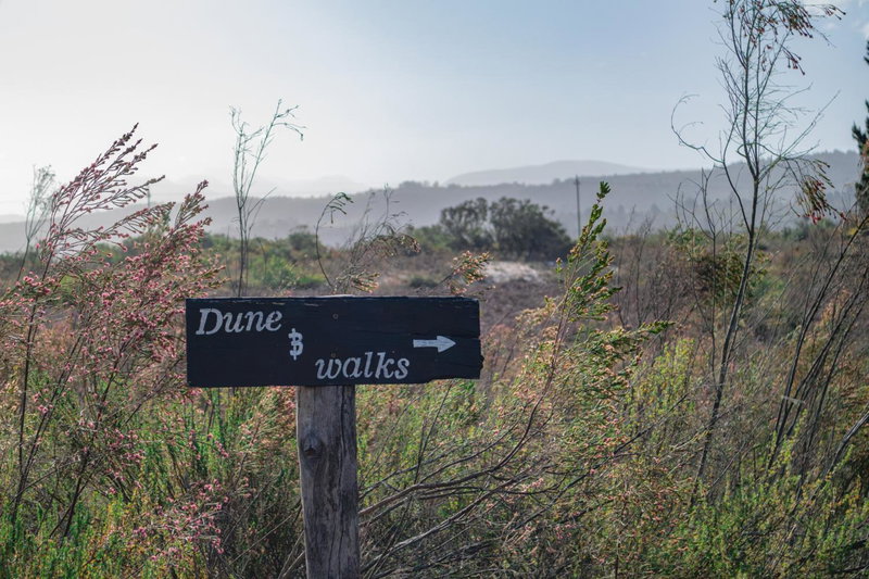 Equleni Guest Farm, Sedgefield, Südafrika
