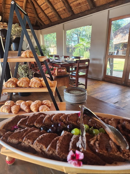 Karongwe - River Safari Lodge, Hoedspruit, South Africa