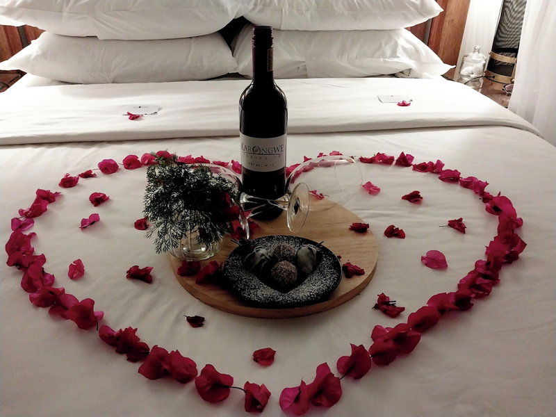 Karongwe - River Safari Lodge, Hoedspruit, South Africa
