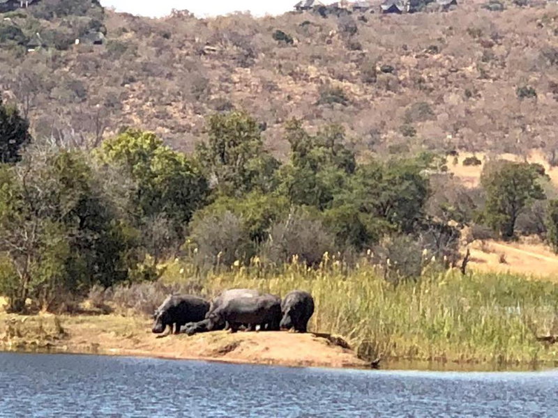 Kuwisa Lodge, Warmbaths, South Africa