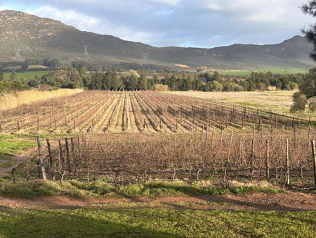 Lemberg Wine Estate, Tulbagh, Южная Африка