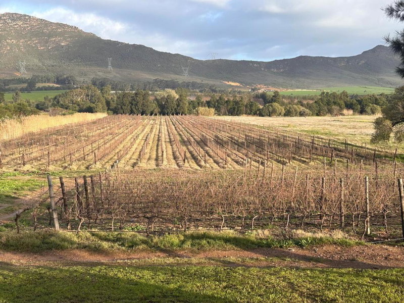 Lemberg Wine Estate, Tulbagh, Южная Африка
