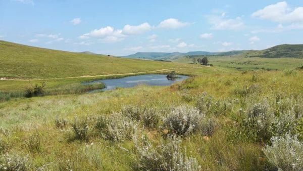 Wetlands Game Lodge, Wakkerstroom, South Africa