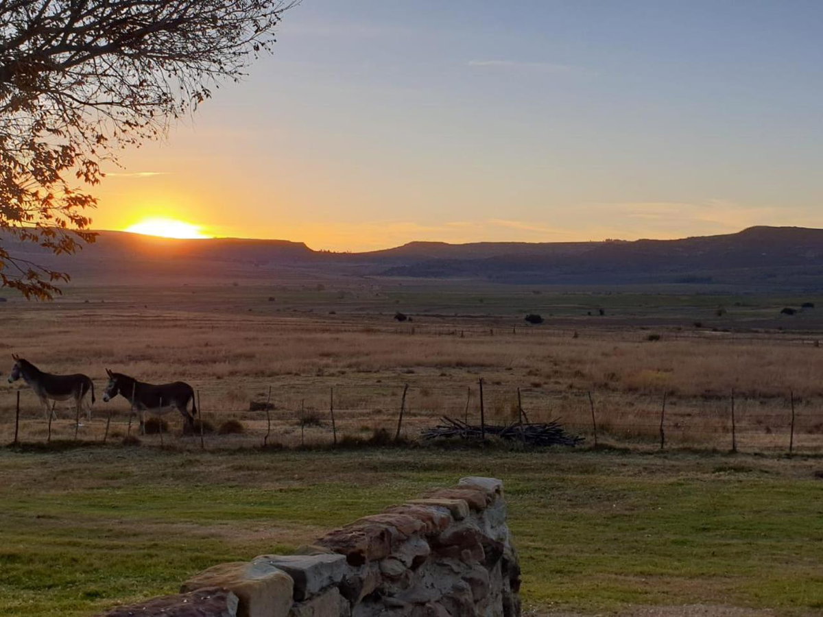 Hotel · Springwater Cottages, Ficksburg