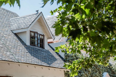 5th Avenue Gooseberry Guest House, Johannesburg, South Africa