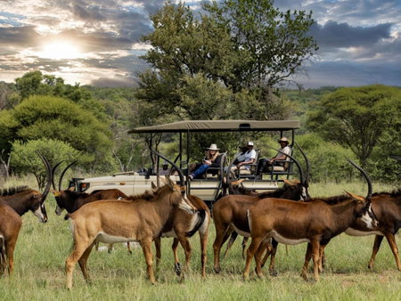 Sable Ranch Bush Lodge, Brits, South Africa