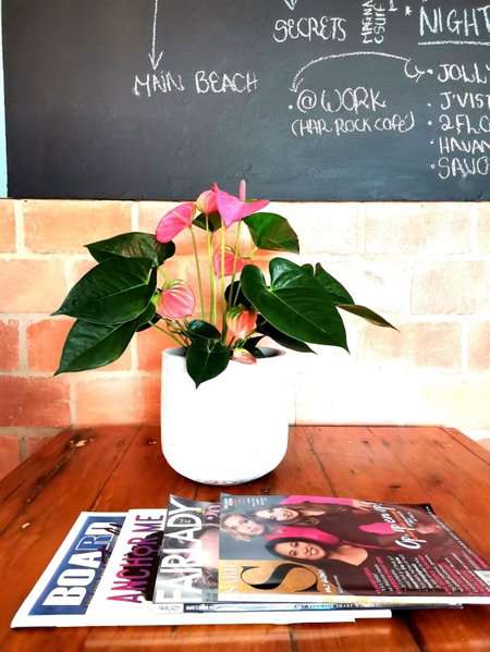 Anna's Place, Jeffreys Bay, Afrique du Sud