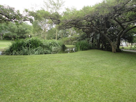 Ascot Inn, Pietermaritzburg, Южная Африка